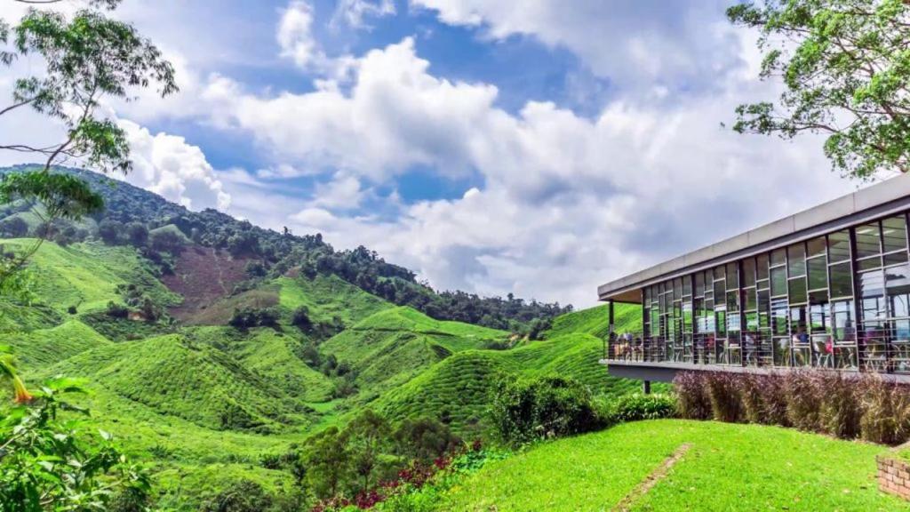 Hills Aranda Nova
