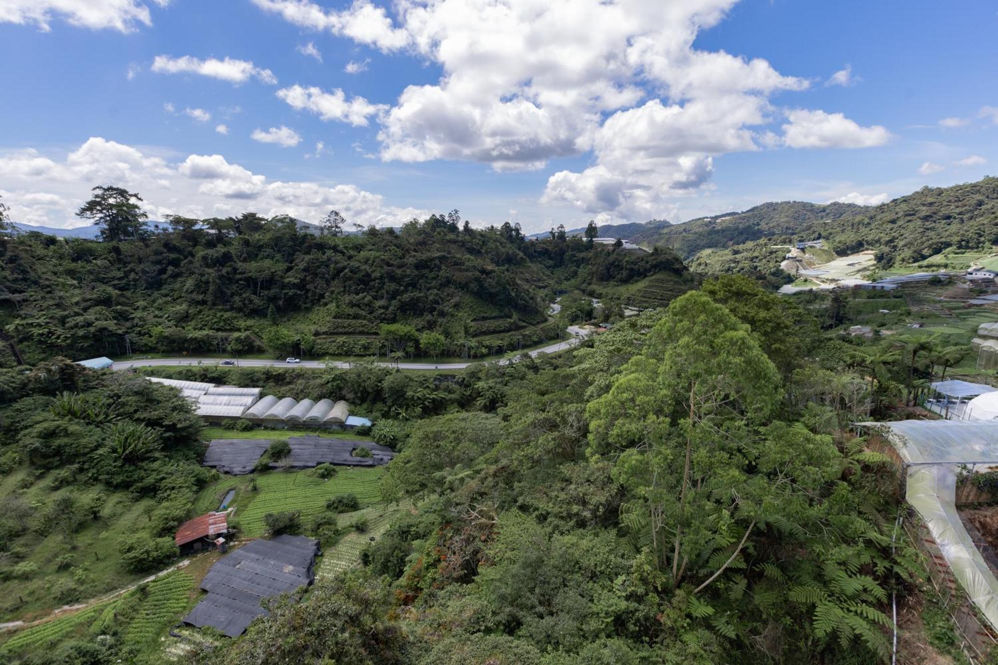 Hills Aranda Nova *