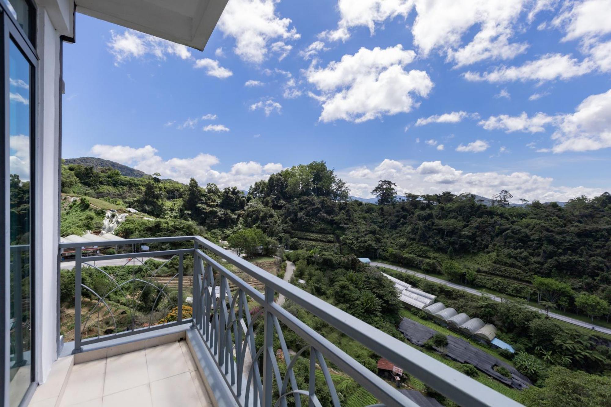 Hills Aranda Nova *